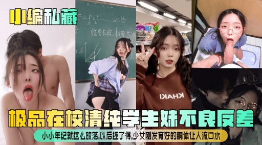 极品在校清纯学生妹不良反差