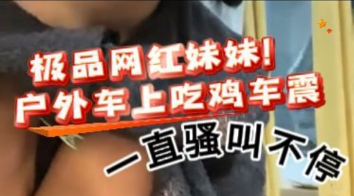 极品网红妹妹!户外车上吃鸡车震