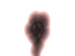 粉红菠萝魔女最终和那个客人