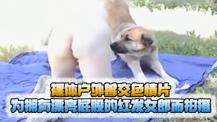 【猎奇】裸体户外兽交色情片，为拥有漂亮屁股的红发女郎而拍摄