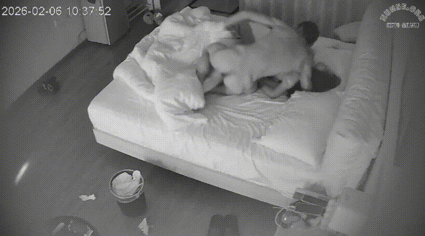 乐橙 2-6 美女还没睡醒 就被晨勃的男人拉起来操 姿势都是一边操一边摆 那奶子被撞得乱甩 差点没把人操下床
