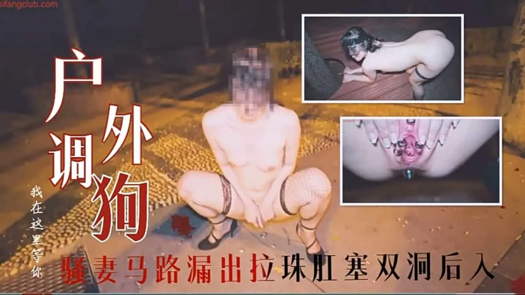 重口调教户外调教极品母狗