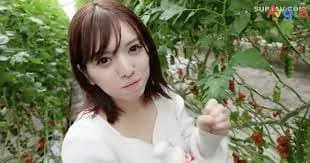 FC2-PPV-3157890 无码 女播音员