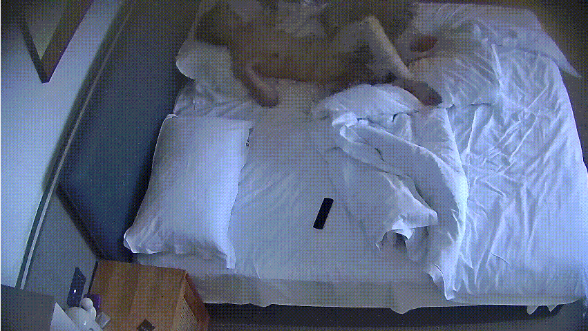 公寓酒店 8-30 男人带女友开钟点房操逼 进来先打一炮 休息一段时间 退房前直接搞两炮 也是闹饥荒了